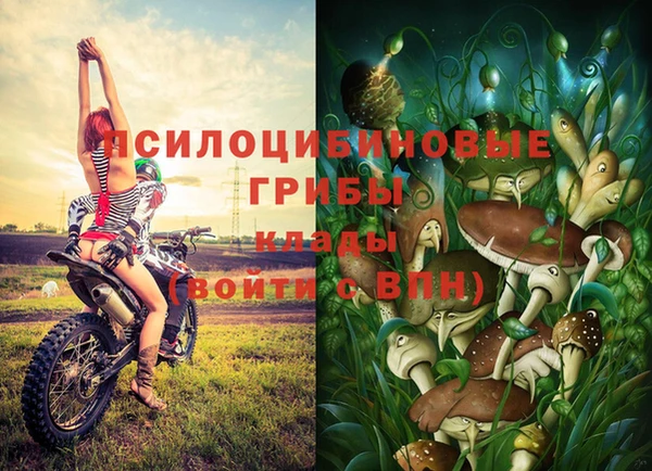 мяу мяу кристалл Гусь-Хрустальный
