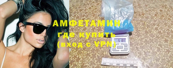 ГАЛЛЮЦИНОГЕННЫЕ ГРИБЫ Туринск