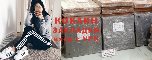 гидра Тында