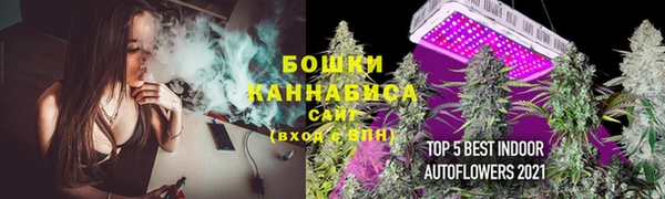крисы Тутаев
