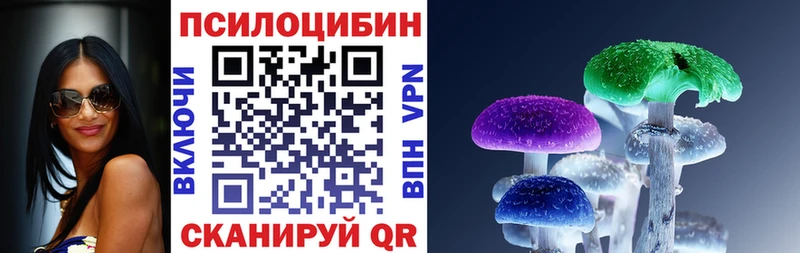 OMG сайт Железногорск-Илимский Псилоцибиновые грибы прущие грибы