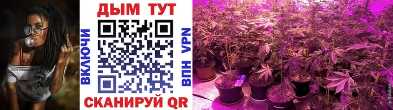 Каннабис семена  купить закладку  Железногорск-Илимский 